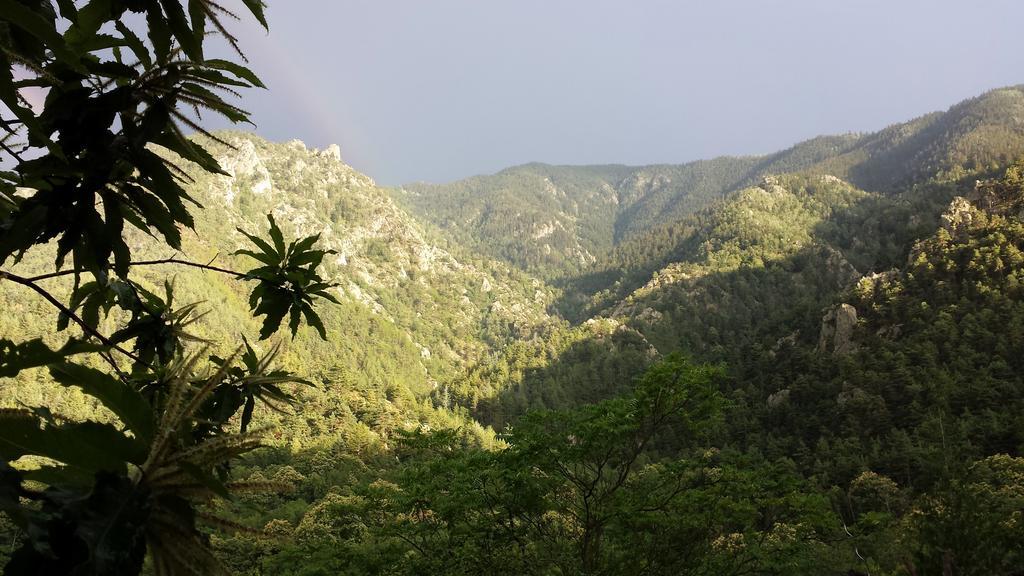 Camping Le P'Tit Bonheur Escaro Esterno foto